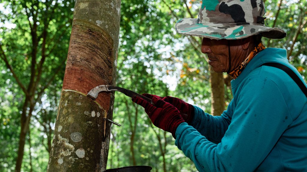 PRINXChengshan-EUDR-1 (2)